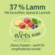 4Vets Allergy 400g