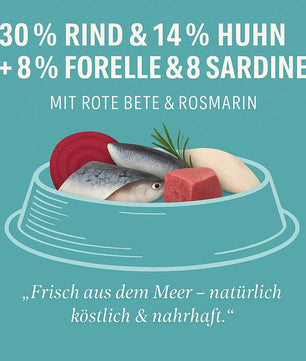 Luger's Daily Pleasures Nassfutter für Katzen mit Forelle und Sardine 6 x 185 g