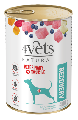 4Vets Recovery  400g