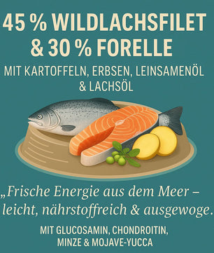 WESTHO Nassfutter Sylt (75 % Lachs & Forelle) 6 x 400g
