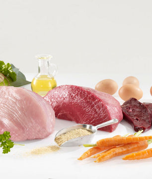 WESTHO Nassfutter Junior (75 % Lamm & Pute) 6 x 800g