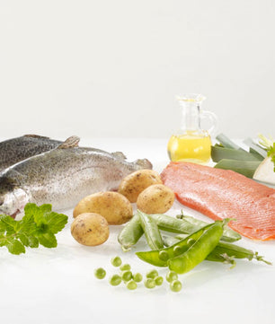 WESTHO Nassfutter Sylt (75 % Lachs & Forelle) 6 x 800g